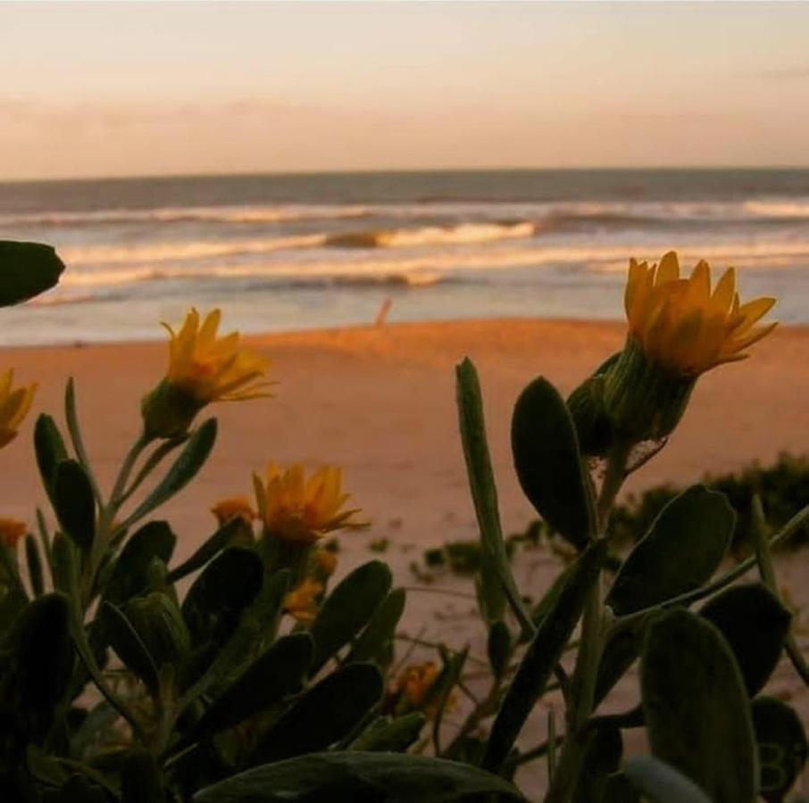 Pousada Villa Morena Florianópolis Dış mekan fotoğraf